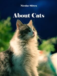 About Cats
